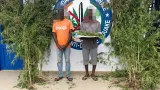 bouake lutte contre la drogue la gendarmerie detruit un champ de cannabis et interpelle deux 02 individus